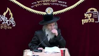 אידיש - הרב אלימלך בידרמן | קבלת התורה, אמונה וביקור חולים - פרשת יתרו תשפ"ו/לשיעור בעברית בתיאור👇🏻 (ארגון קול הלשון) - התמונה מוצגת ישירות מתוך אתר האינטרנט יוטיוב. זכויות היוצרים בתמונה שייכות ליוצרה. קישור קרדיט למקור התוכן נמצא בתוך דף הסרטון