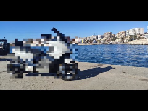 PEPINACO NUEVO EN BIBIMOTOS