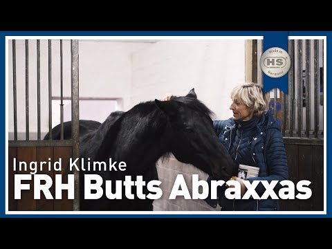 Ingrid Klimke & "Braxxi" - jedes Pferd hat Schwächen!