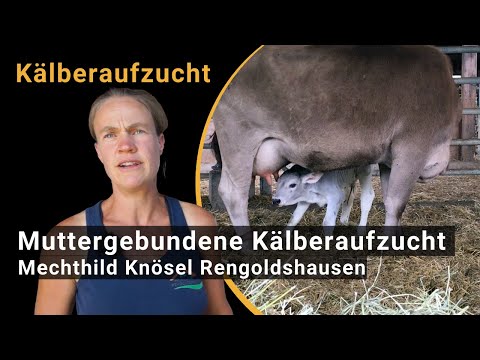 , title : 'Muttergebundene Kälberaufzucht auf dem Hofgut Rengoldshausen (mit Mechthild Knösel)'