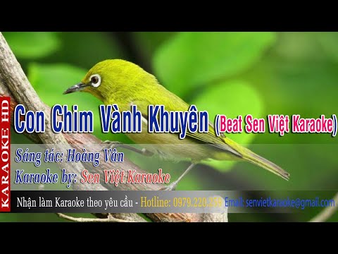 [Karaoke] Con Chim Vành Khuyên