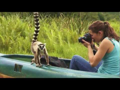 download lagu mp3 mp4 Lemur Island Madagascar, download lagu Lemur Island Madagascar gratis, unduh video klip Lemur Island Madagascar