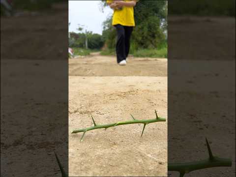 A Good Heart, Badly Misunderstood ❤️‍🩹😞