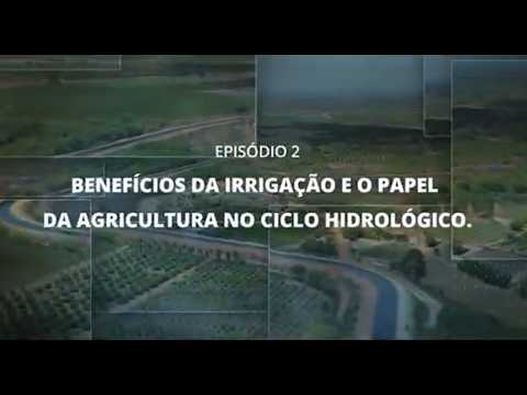 Imagem Benefícios da irrigação e o papel da agricultura no ciclo hidrológico