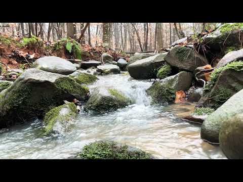 15 Minutes Water Flowing in Brook Sounds | Water Running Over Rocks | ASMR