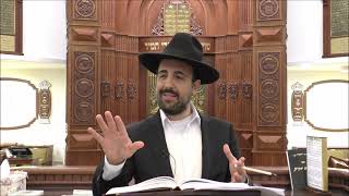 הרב מאיר אליהו | פרשת תולדות | משכן יהודה (הרב מאיר אליהו) - התמונה מוצגת ישירות מתוך אתר האינטרנט יוטיוב. זכויות היוצרים בתמונה שייכות ליוצרה. קישור קרדיט למקור התוכן נמצא בתוך דף הסרטון