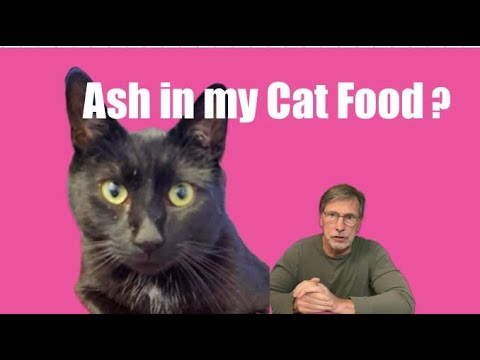 Ash in my Cat Food?