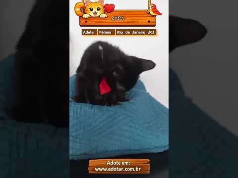 Vídeo de ZARA