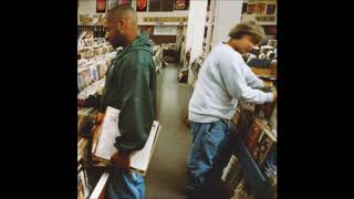 DJ Shadow - (Best Foot Forward) Building Steam With a Grain of Salt