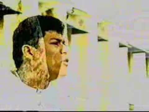 emer527’s Video 43799495142 V3bY0LwNhQY