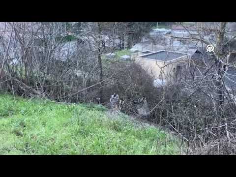 Eyüpsultan'da yol kenarında ceset bulundu