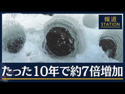 北極:研究者らが海底で異常な構造を発見