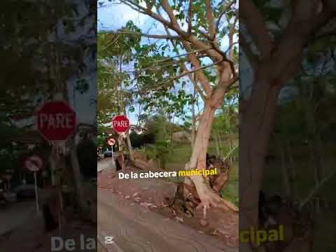 ​“Cultura y sabor en Pueblo Nuevo, Córdoba”
