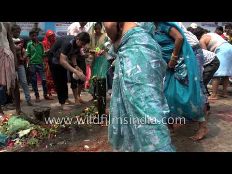 Priest sacrifices goat at Nawada Bhagwati Sthan: Durga Puja in Bihar