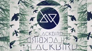 NIGHT OWL-O’Shea prod Desean Johnson