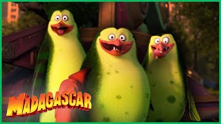 Os Pinguins Estão Se Transformando em Monstros!? | DreamWorks Madagascar em Português