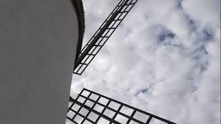 Locutores profesionales. Locutoras profesionales. Locutores profesionales internacionales