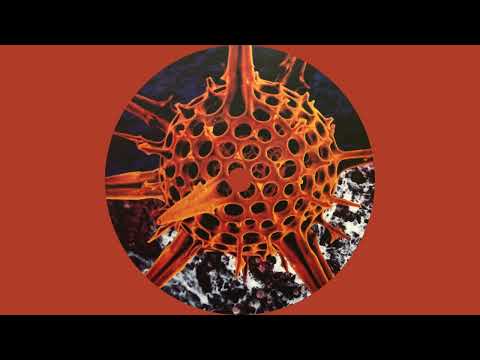 Pot Cycl – Ion (Weedmix).