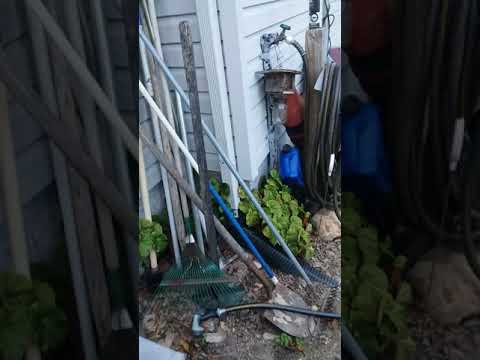 06.21.2019 - * * Drunk Neighbor Stalking