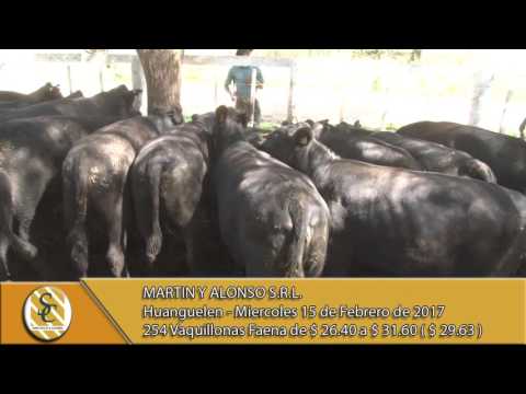 15-02-17 Venta de Vaquillonas Gordas - Martin y Alonso S.R.L. - Huanguelen