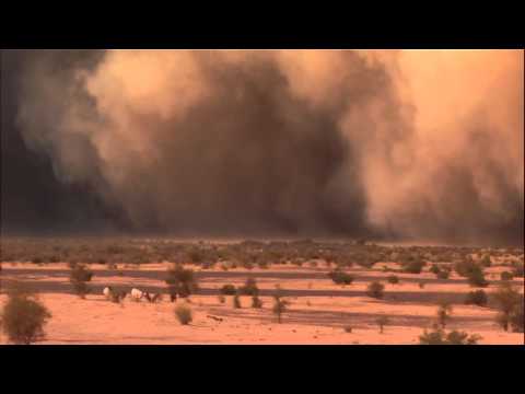 Nat Geo Wild - Sandstorm