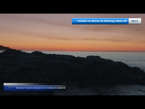 En directo Relaxin videos 4K. Vídeos de la naturaleza para relajarte - YouTube