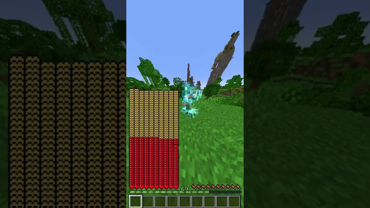 OP Potion In Minecraft Command
