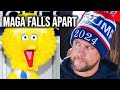 Conservatives EXPLODE In Netflix Meltdown After Stunning Sesame Street Announcement