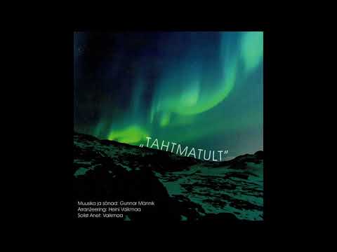 Anet Vaikmaa - Tahtmatult (Audio)