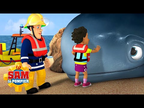 Sauvons la baleine ! | NOUVEAUX épisodes | Sam le Pompier | Dessins animés