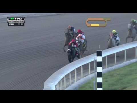 RACE REPLAY: 2017 Gulfstream Park Sprint Featuring Unified, Mind Your Biscuits