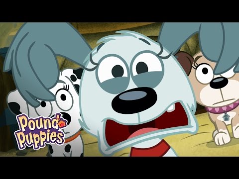 Pound Puppies - Rebound on the Internet