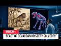 The Beast Of Gévaudan Was Real And It Doesn T Match Any Known Species
