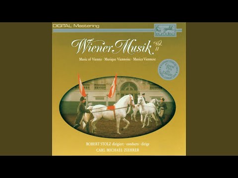 Nachtschwärmer, Op. 466