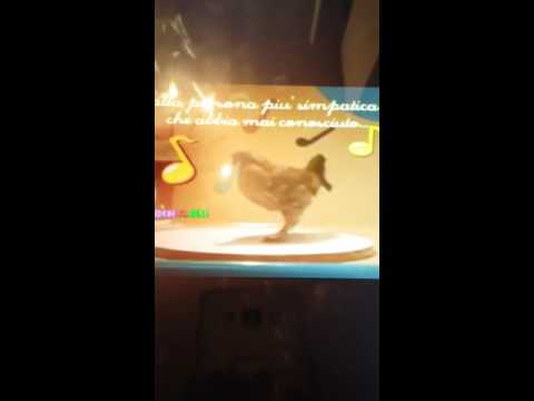 La gallina pazzerella