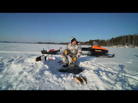 Talviverkoilla 21.2.2023