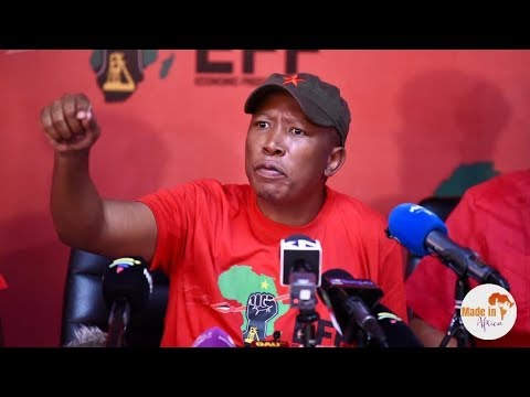 Anyone who unleashes soldiers on innocent unarmed people is a fool – Julius Malema on Mnangagwa (VIDEO)