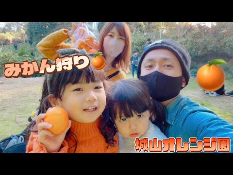 園芸 オレンジ園