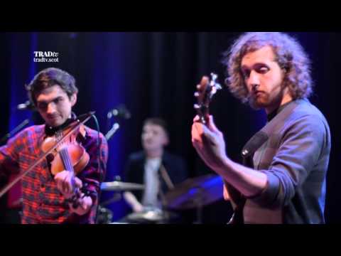 The Elephant Sessions perform 