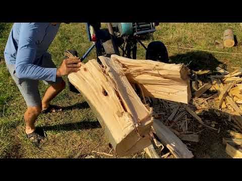 Challenge for the Log Splitter: Hornbeam Log with Knots and Complex Fibers!