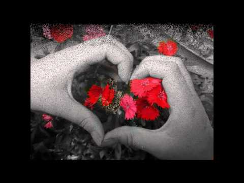 الكمر ايسر القاسم