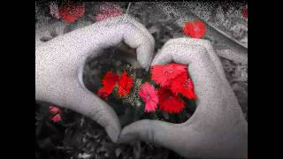 كلمات اغنية الكمر ايسر القاسم