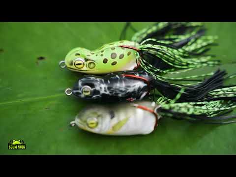 Scum Frog Lineup | Scum Frog