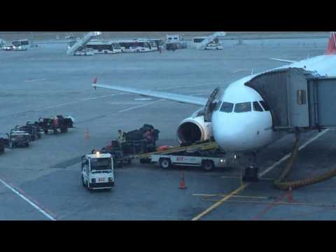 Istanbul Ataturk Airport Luggage Loading Process -Turkish Airlines