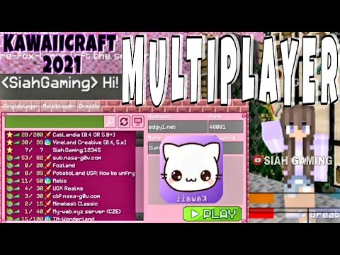 Multiplayer in Kawaiicraft 2021 | Change Skins | minecraft | kawaii world