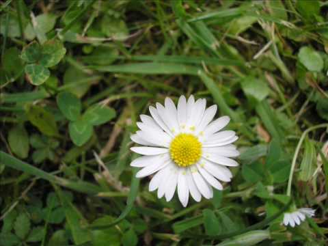 Drima ft. Big Bass - Sta je zivot [Serbian Rap 2010]