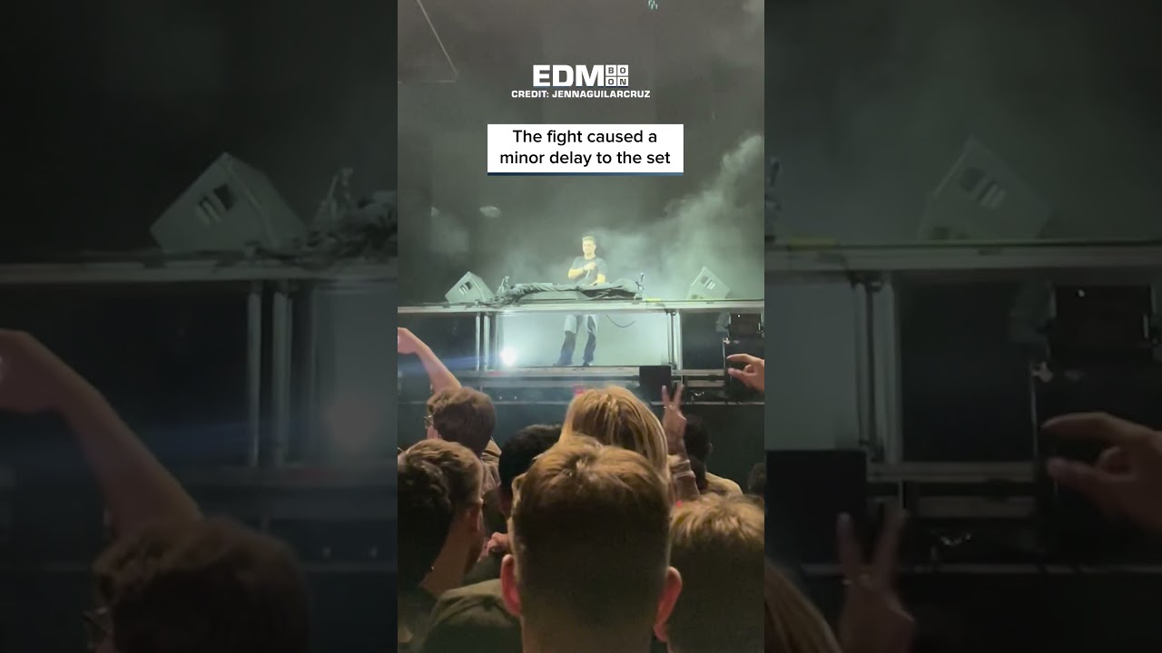 MARTIN GARRIX STOPS SET TO BREAK UP FIGHT