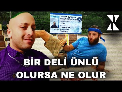 Taner Tolga Tarlacı: Bir Yok Oluş Hikayesi