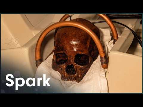 The Best Preserved Ancient Skull We've Ever Found