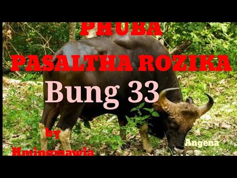 PHUBA PASALTHA ROZIKA 33